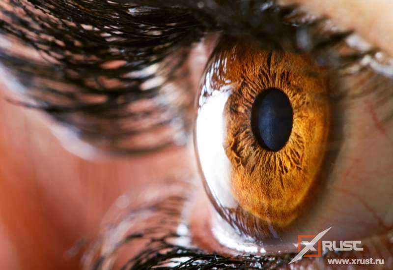 Глаз человека стал прототипом хьюстонского фотоаппарата